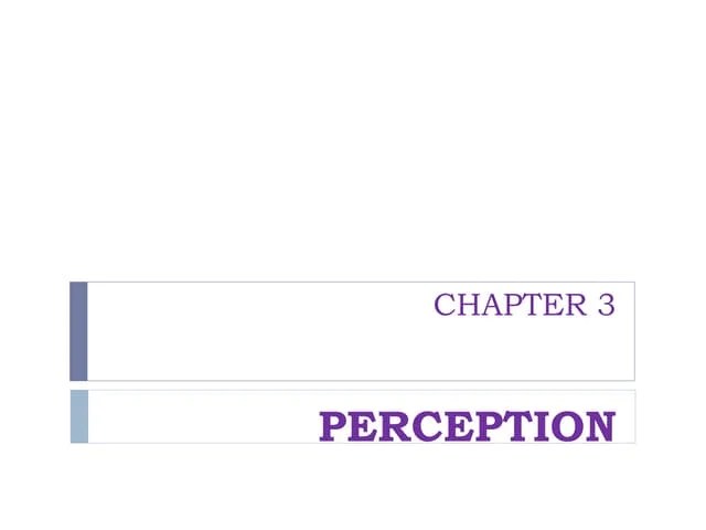 Perception Organisational Behaviour Pptx Technology Computing