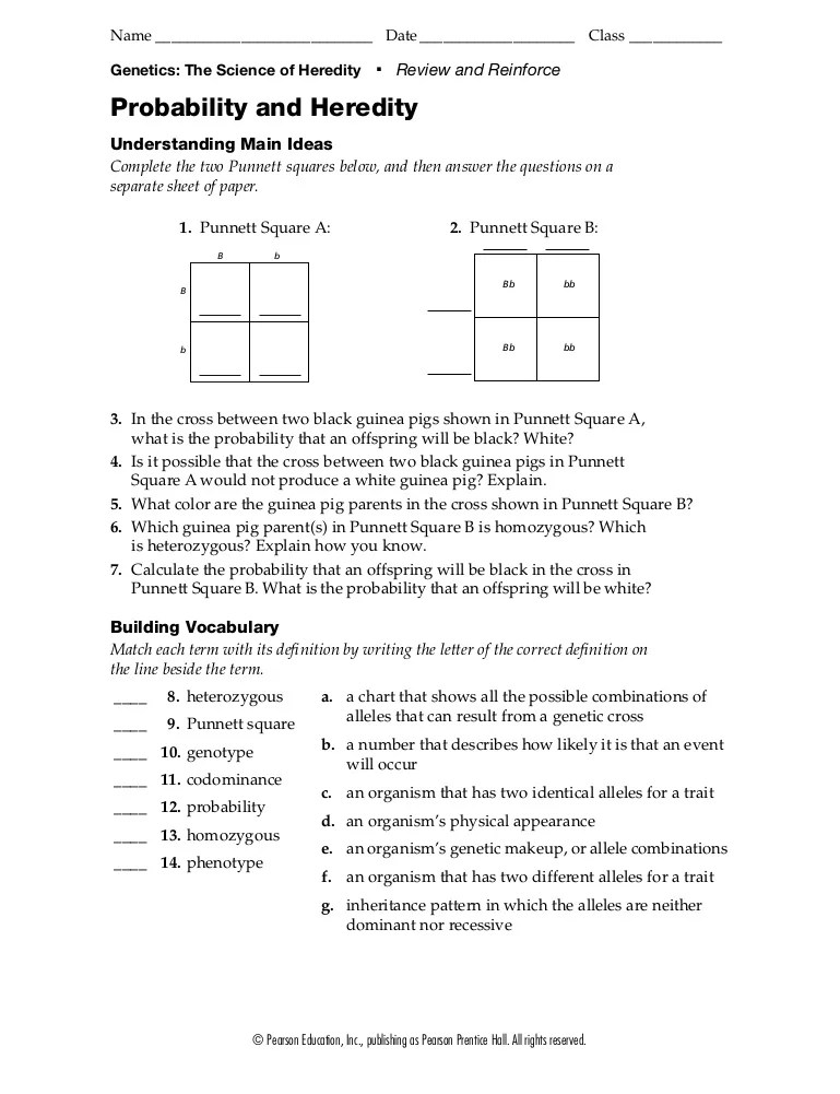 Complete the worksheet using the directions. Probability And Heredity