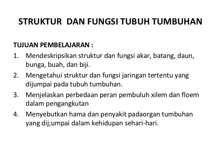 Perbedaan Struktur Anatomi Akar Dan Batang Yang Be Setiap organ tersebut memiliki struktur jaringan penyusun.