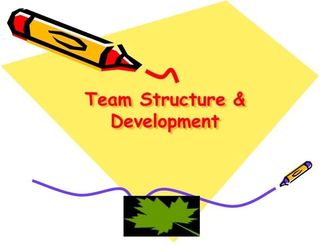 Organization And Team Structures Ppt