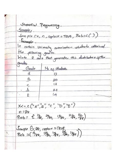 Understanding Statistical Programming.pptx