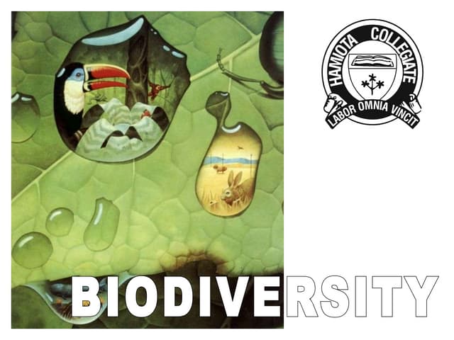 Hierarchy Of Classification Groups Biology Ppt