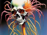 Cordyceps Soft Diffusion Gallery