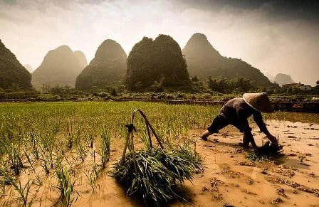 Ikhtiar Adalah Berusaha Kenali 3 Bentuk Beserta Contohnya Merdeka Line Today 