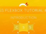 Best Html Css Courses Studique