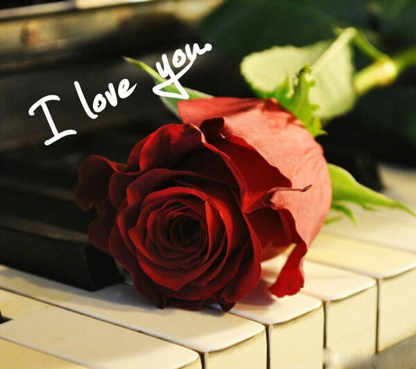 If you are visiting imagediamond first time then don't forget to check other articles that you can find at the bottom of this page. 101 Most Romantic Whats App Dp for Couples