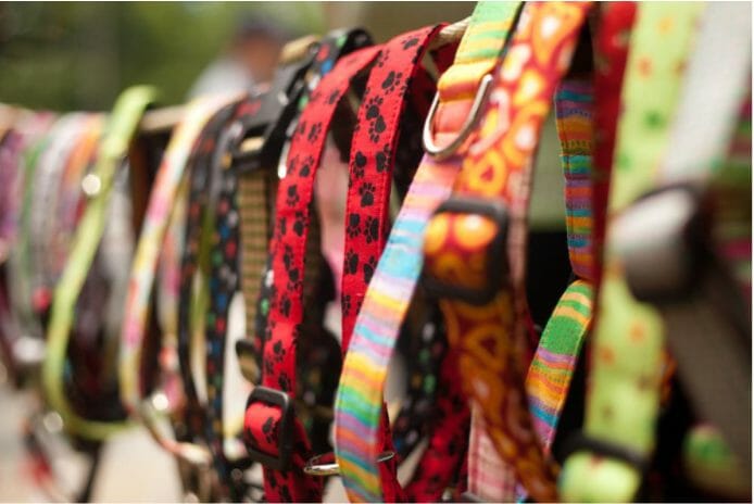 trendy dog accessories