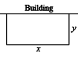 Understanding Mathematical Optimization Testbook
