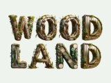 Trees Woodland Nature Text Effect Generator