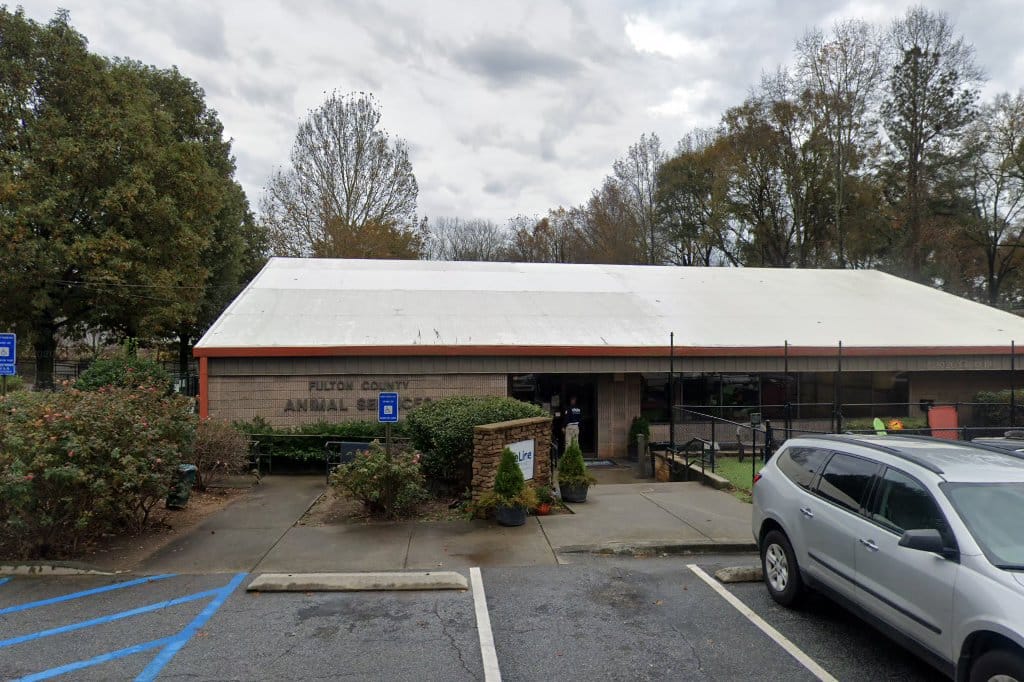 Animal shelter in atlanta, ga