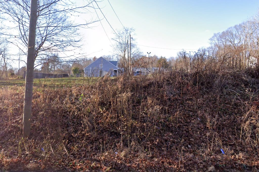 Animal shelter in north haven, ct