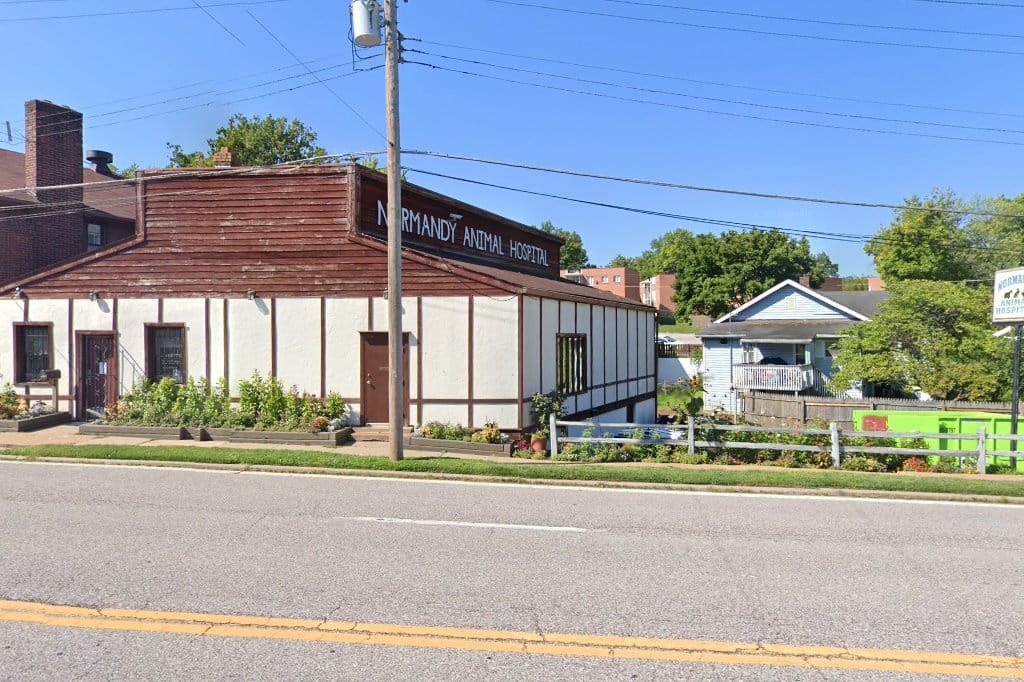Ferguson animal hospital in ferguson, mo