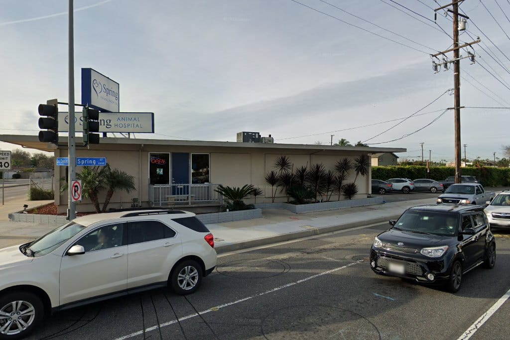 Animal hospital in long beach, ca