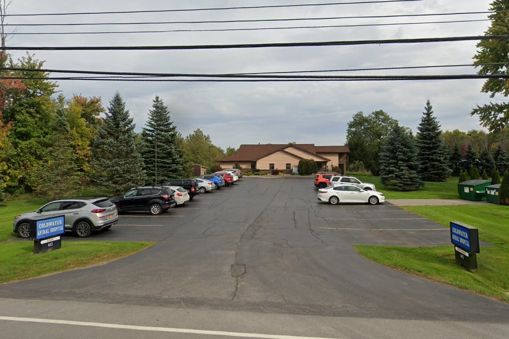 Animal hospital in rochester, ny