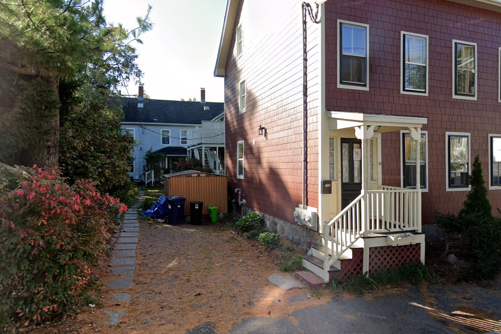 Animal shelter in boston, ma