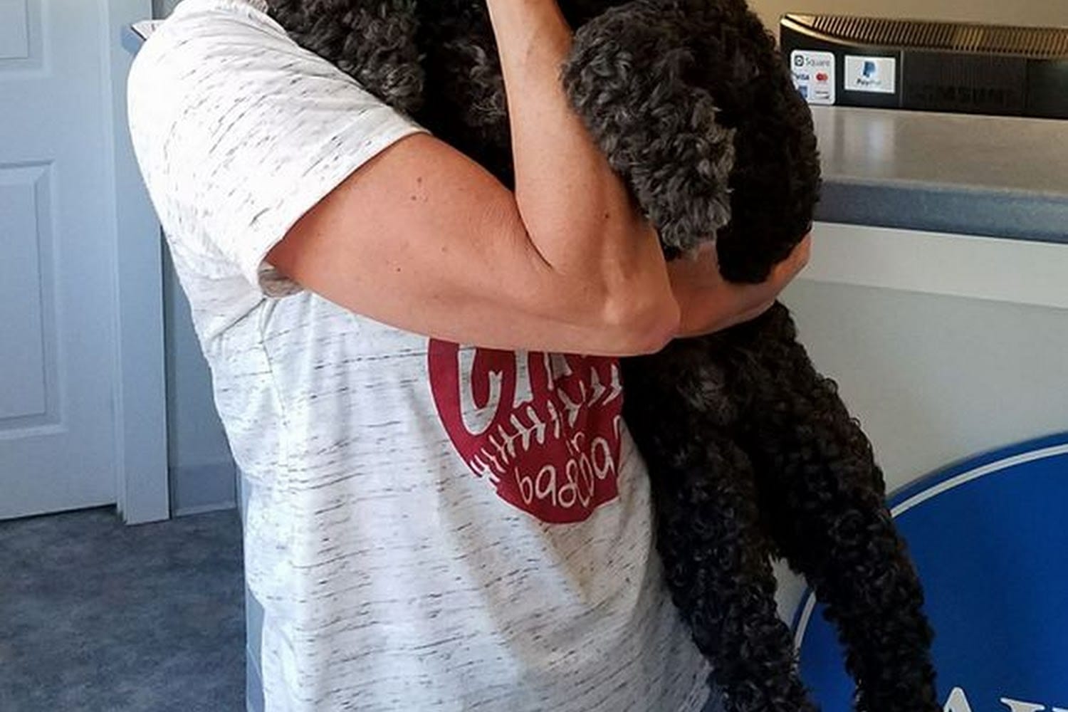 Animal shelter in ossipee, nh