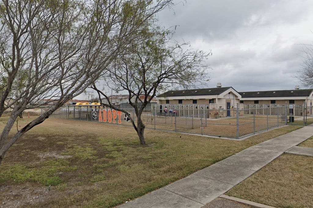 Welcome home barnyard animal sanctuary in corpus christi, tx