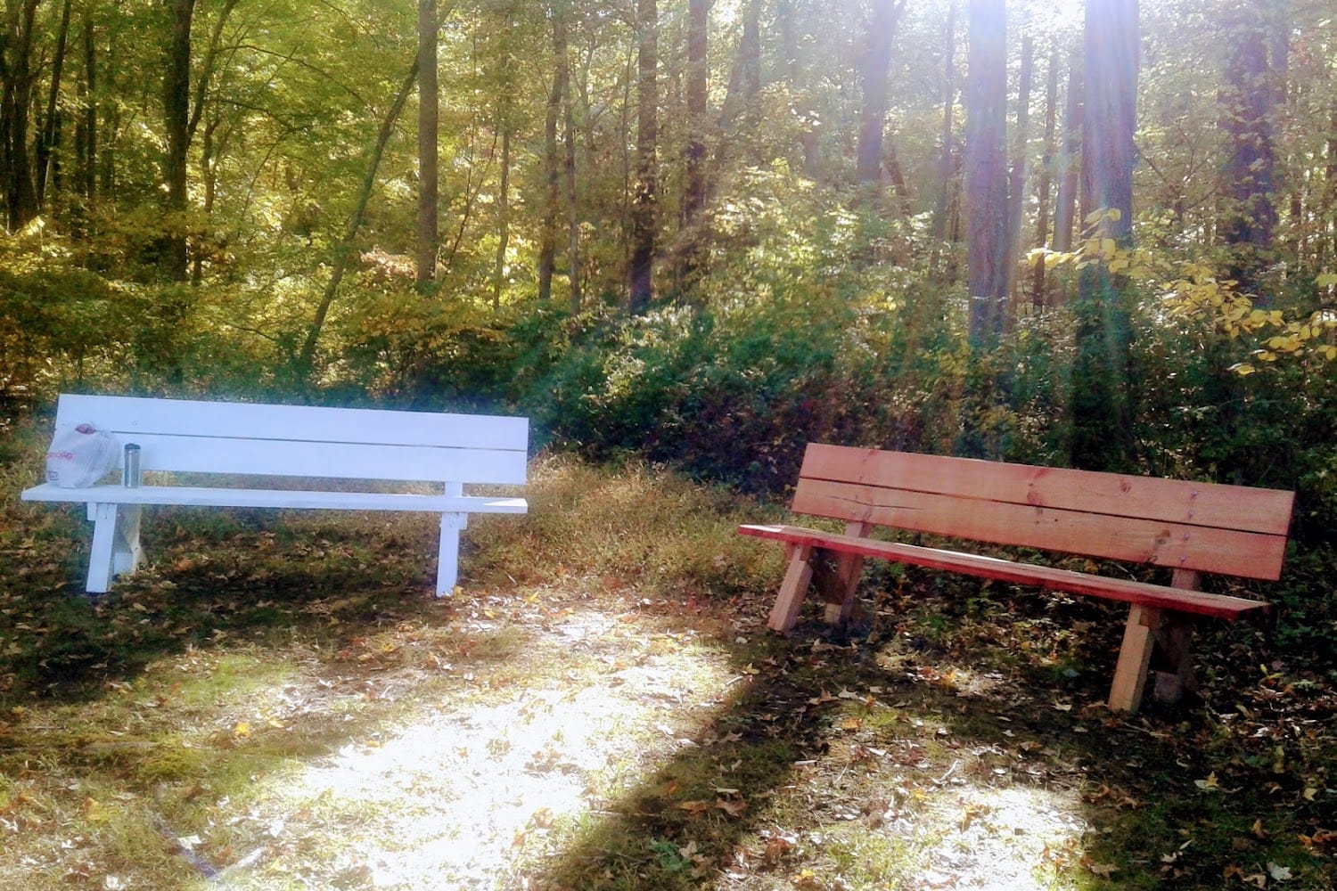 Animal shelter in monmouth county, nj