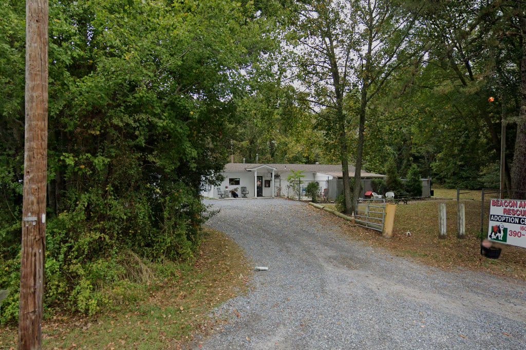 Animal shelter in cape may county, nj