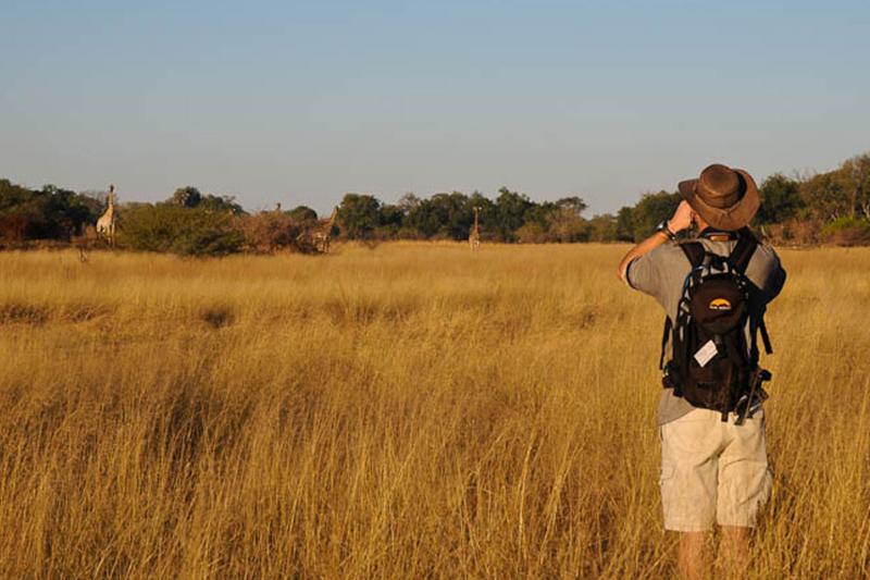 14 Days Botswana Wild Parks South Africa Botswana Zimbabwe Accommodated Tour