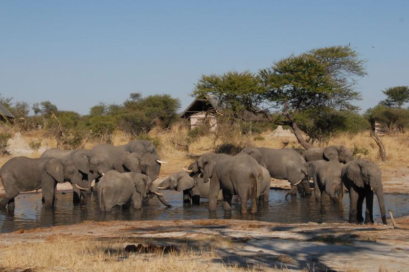 14 Days Southern African Magic Botswana South Africa Zimbabwe Accommodated Overland Tour