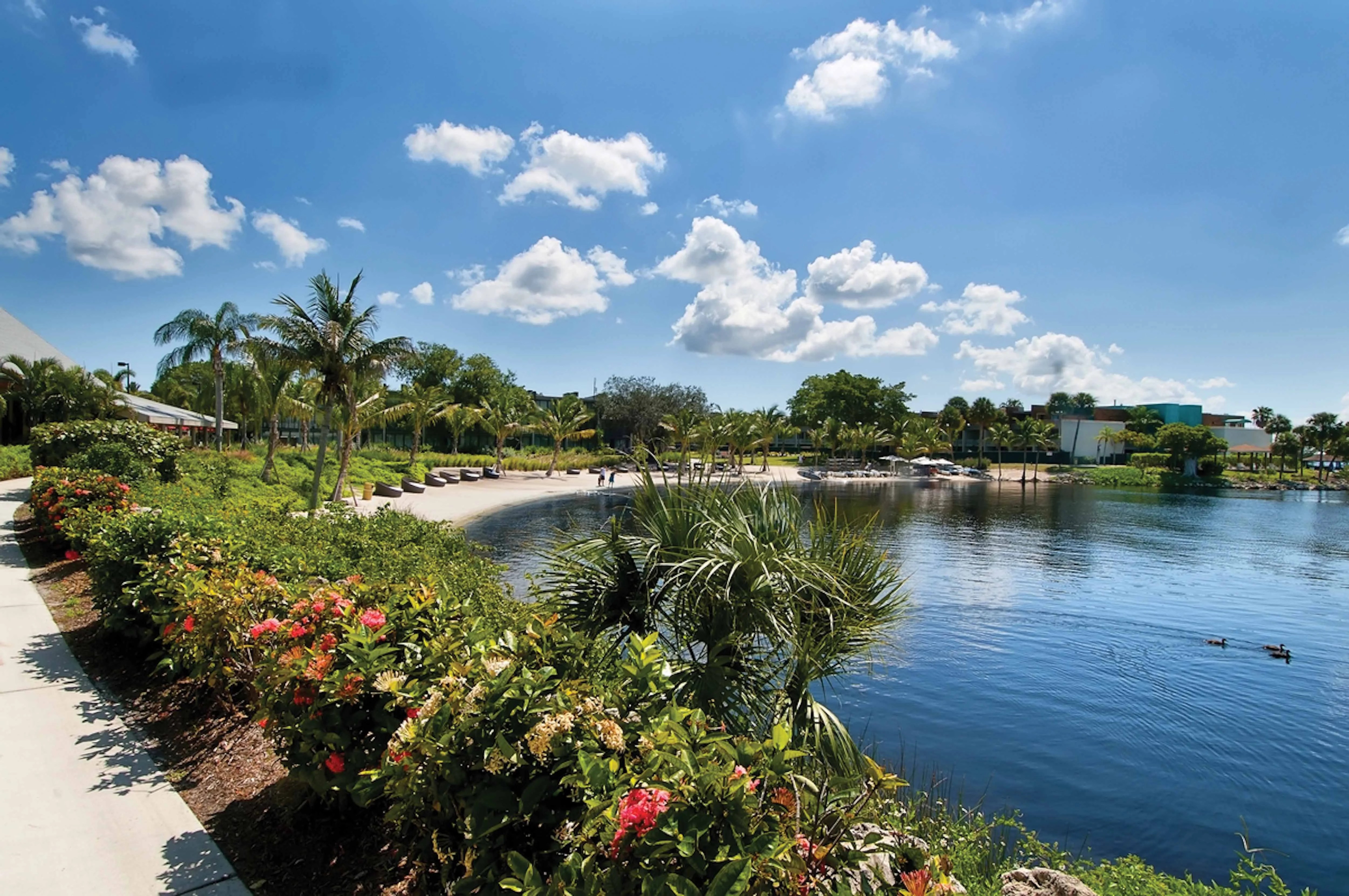 Club Med Sandpiper Bay Excursions 60 Photos Morilly Com Bay View 