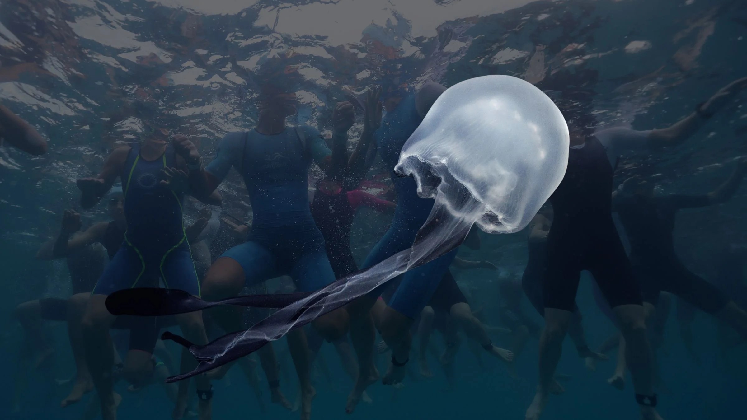 Ironman Kona Jellyfish Warning: What Triathletes Need to Know (2026)