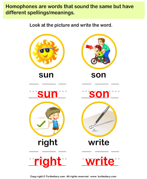 homophone picture identification worksheet turtle diary