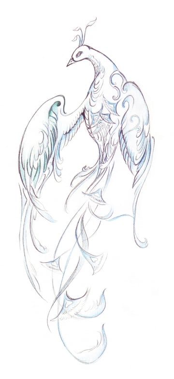 Cara Menggambar Burung Fantasi Yang Elegan Dengan Pensil Warna 781_X_360_jpg