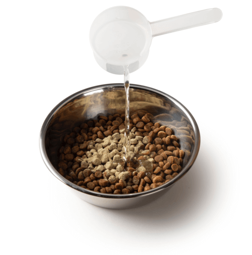 Nutra thrive for cats