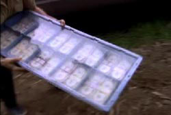 the mysterious 11 million heist - unsolved mysteries on rochester armored car robbery