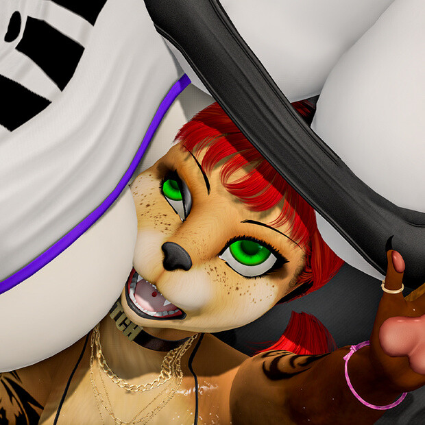 catscratchvids