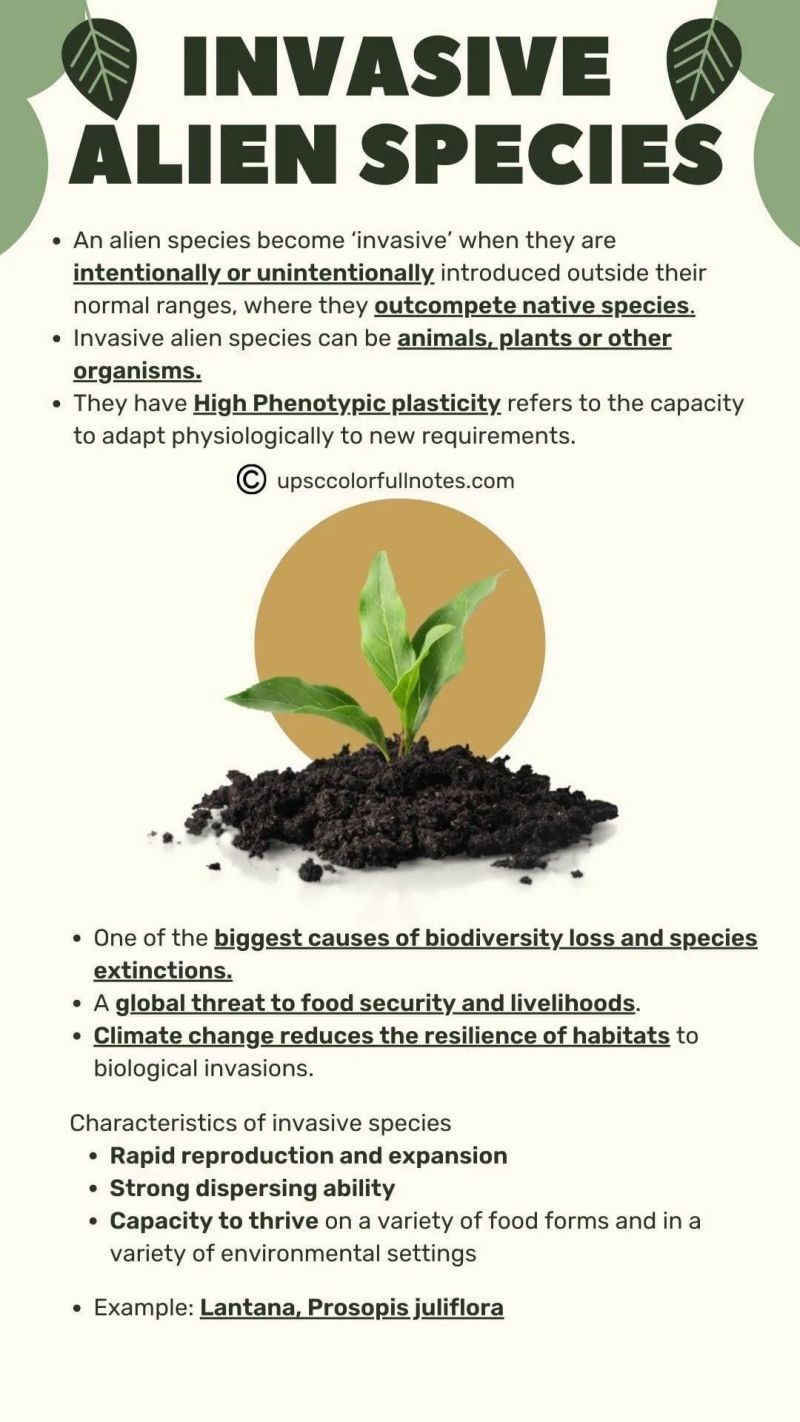 Aquatic Invasive Alien Species Pose A Threat To The Economy - Premium Minimal Photo Gallery - 4K