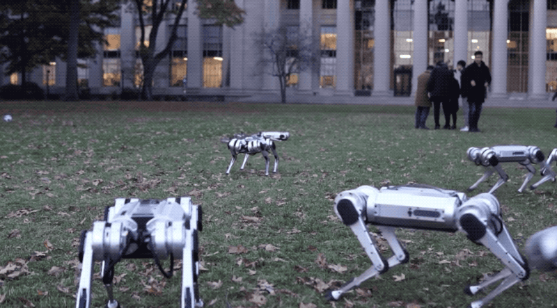 Fall Is Here And Packs Of Robot Dogs Are Frolicking In The Leaves The Verge