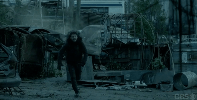 pix Zoo Tv Show Sabertooth cbs s zoo is now a dystopian hellscape full of hybrid beasts zoo is now perfect vox