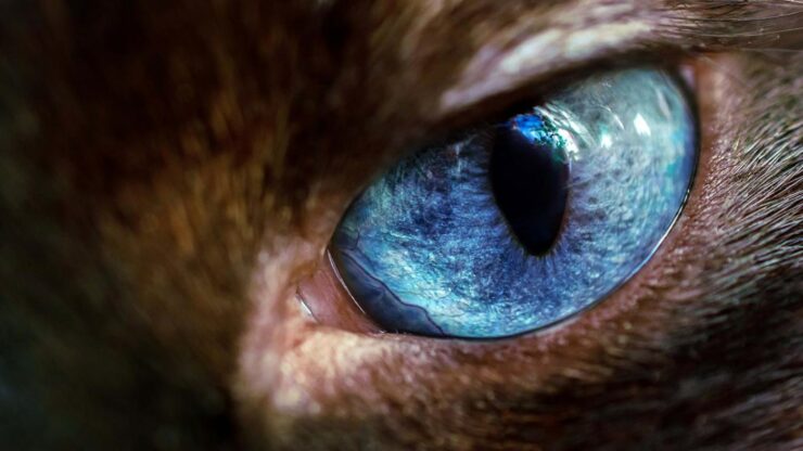 Windows 10 1080p, 2k, 4k, 5k hd wallpapers free download, these wallpapers are free download for pc, laptop, iphone, android phone and ipad desktop. Microsoft Drops Some More Premium 4k Windows 10 Wallpapers