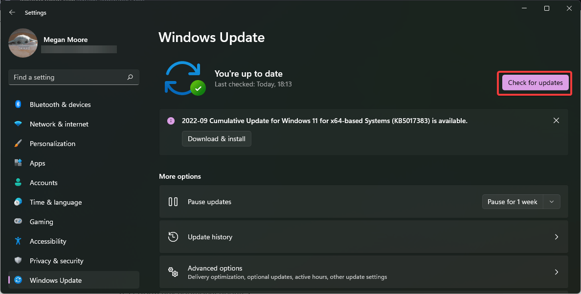 Canon printer is not installing drivers: 5 ways to fix it