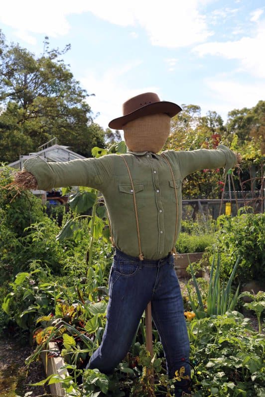 And because it's one of those countertop appliances. DIY Scarecrows: Farmerâ€™s Raggedy Helpers