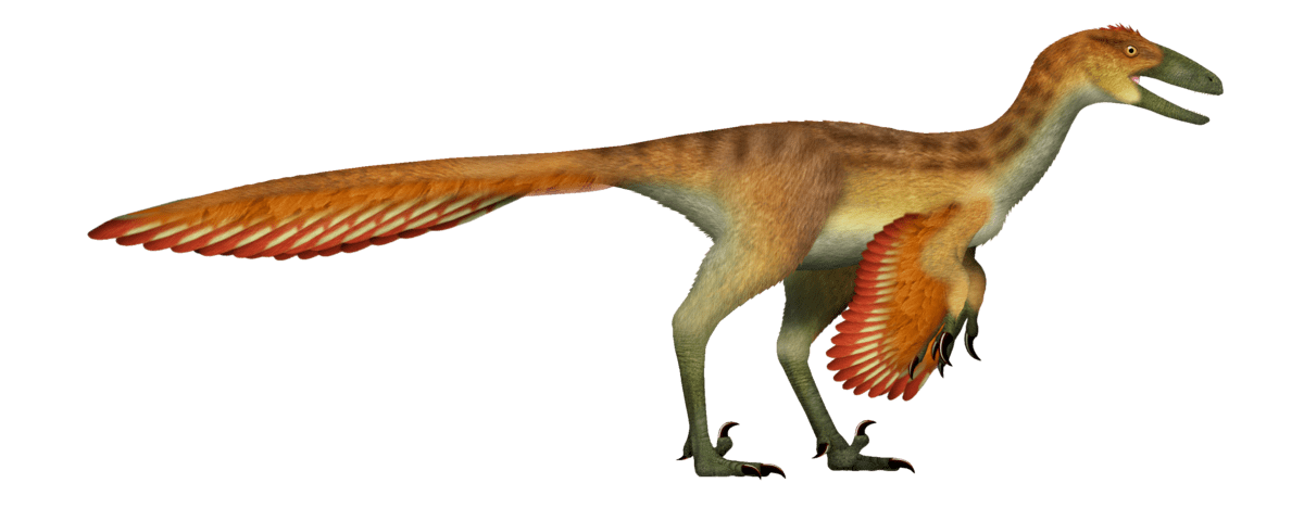 The 12 smartest dinosaurs: the top brainy beasts of the mesozoic