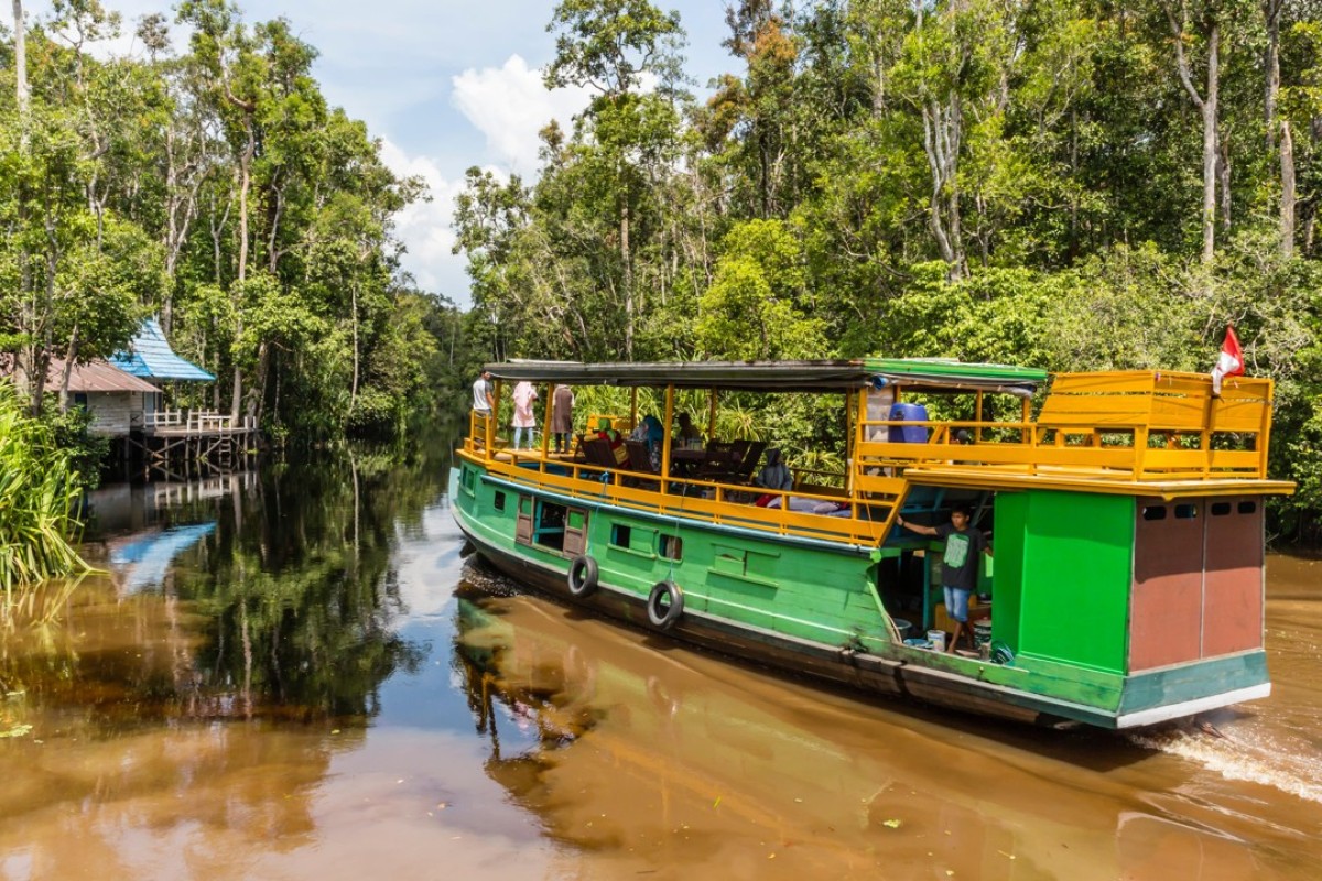 Five Of The Best Borneo River Trips To See Its Nature And