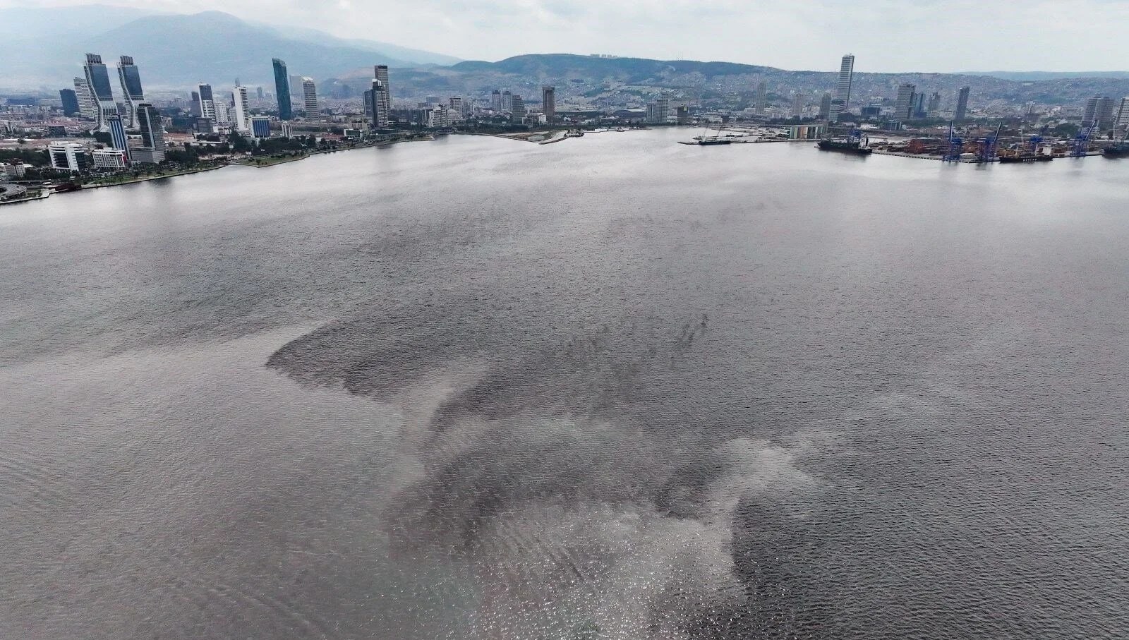 Απώλεια ψάρια και δυσοσμία συνεχίζονται στον Κόλπο της Σμύρνης – Τελευταία Είδηση από την Τουρκία