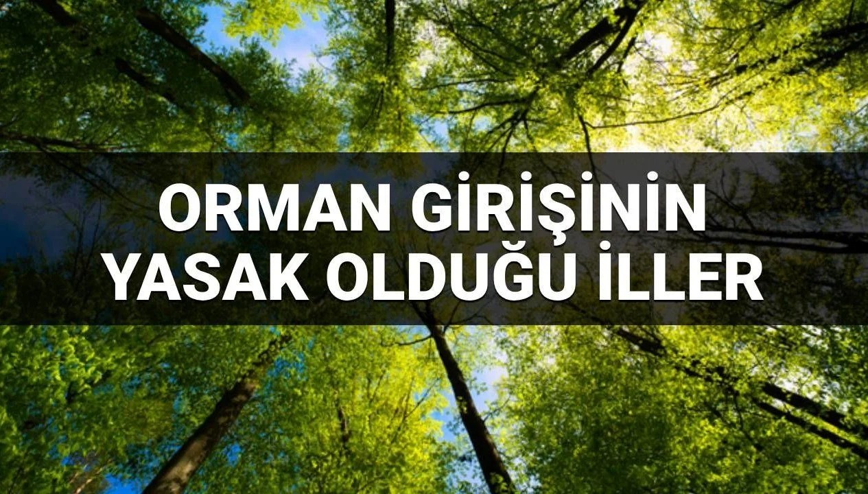 Hangi illerde ormana girmek yasak? 2025 Orman girişine yasaklanan illerin listesi