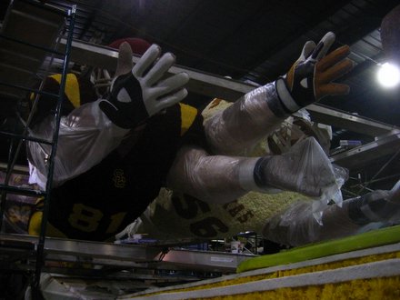 Up close and personal with a giant flower Trojan