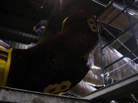 A gigantic Trojan dives for the ball on the ESPN float