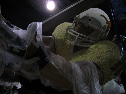 Those Longhorns are pansies--seriously