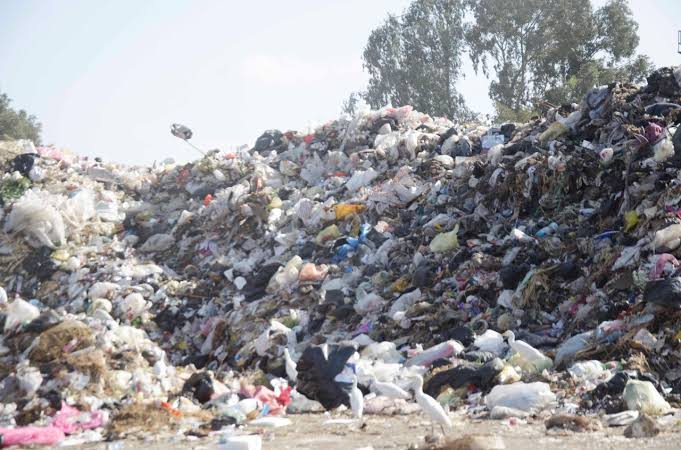 فاجعة مزلزلة: العثور على أجنة ملقاة في القمامة..ما القصة؟!..