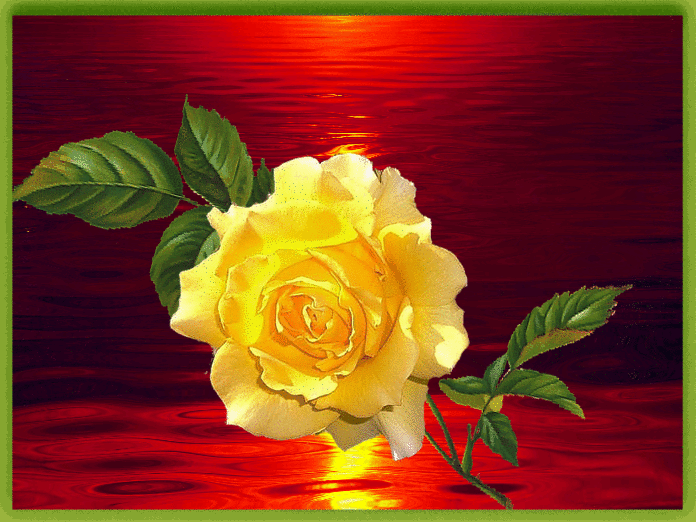 Good morning with animated butterfly pictures, photos, and images for facebook, . Freetoedit Good Gif 276529435027201 By Majedbazadough1755