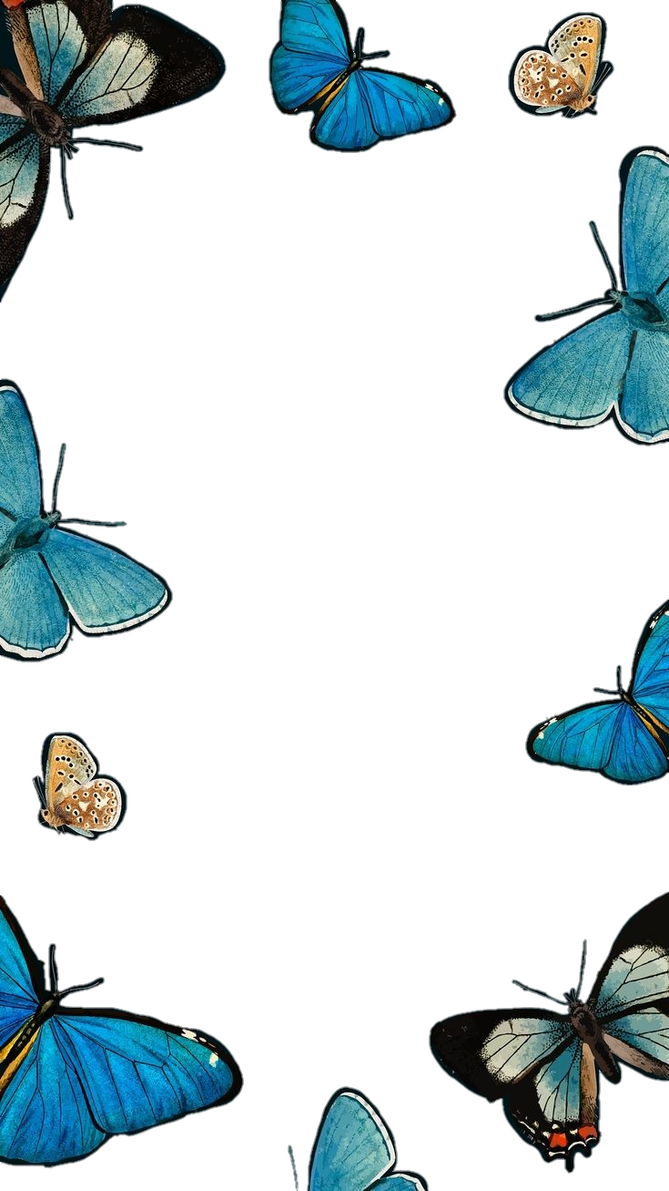 Butterfly clips set of 6 small hair clip hair monarch butterfly hair fascinator wedding hair piece bride bridal fairy faerie hair clips. Freetoedit Butterfly Borboleta 324530780346211 By Toedite