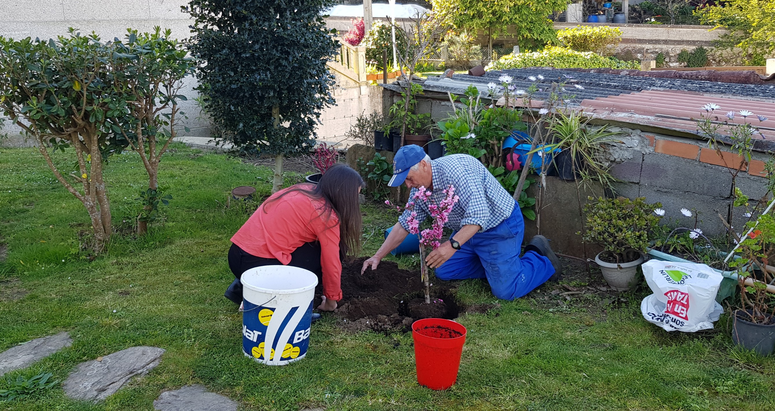 Jardineria Plantas Nature Myart Myview Photography Hdr