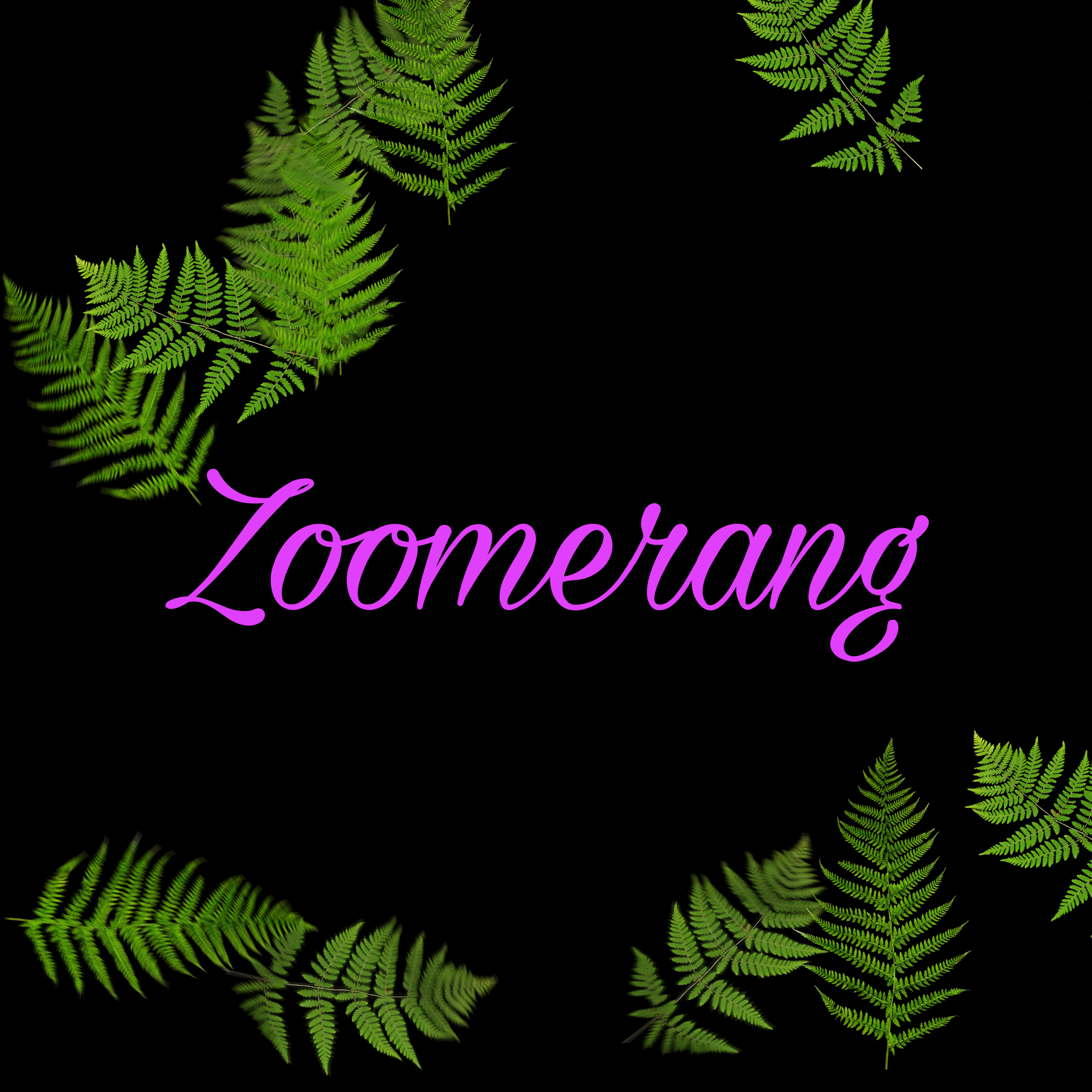 Zoomerang Similar Hashtags Picsart